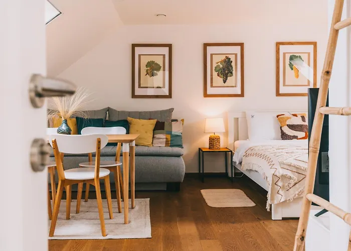 Salve 包道乔尼托毛伊